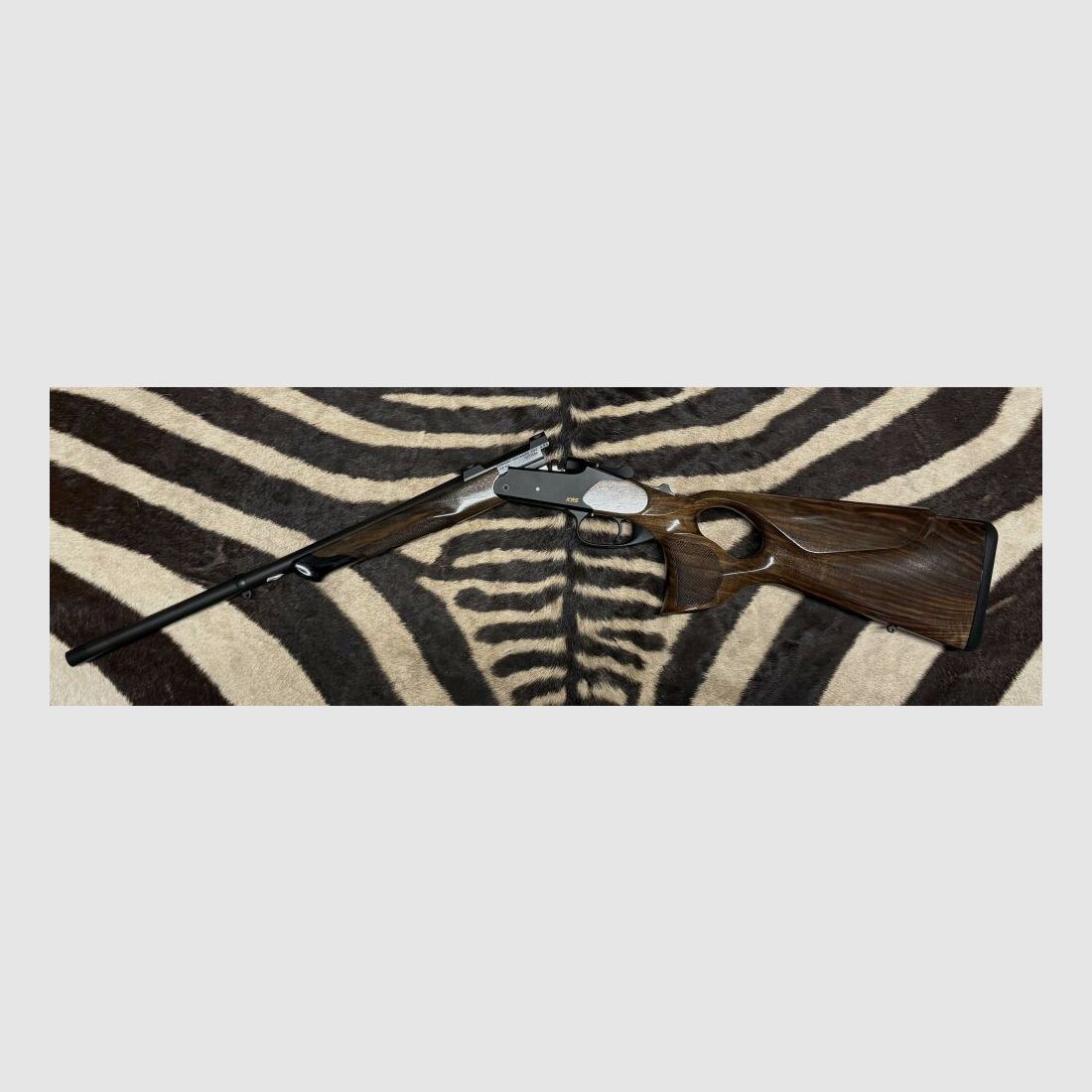 Blaser K95 Success