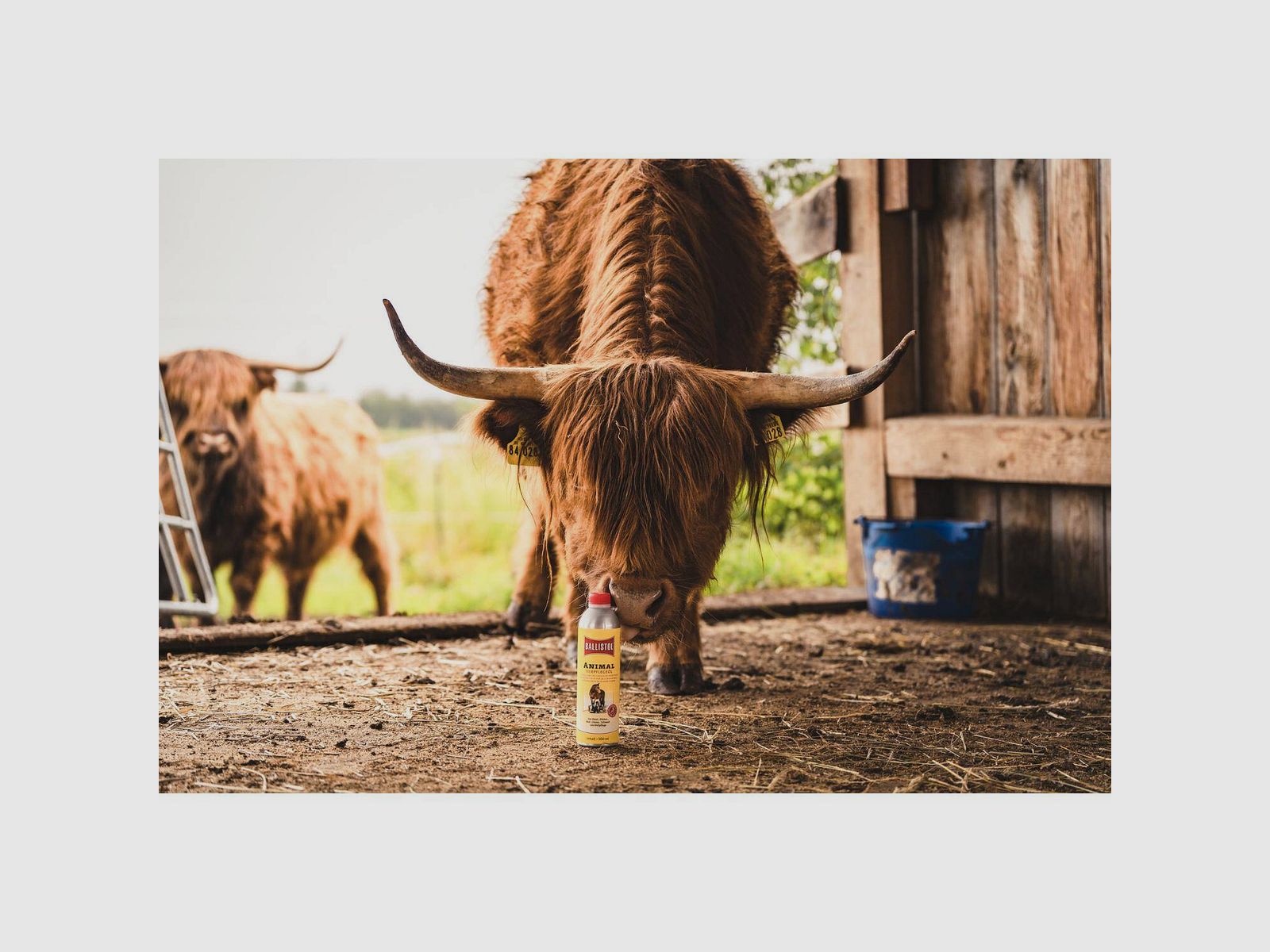 BALLISTOL ANIMAL Liquid oil 10 ml, image 14 of 21