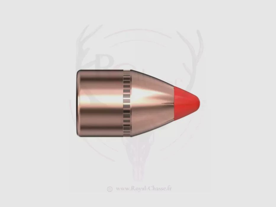50 pocisków Kal.45 D.452 200Grs FTX HORNADY