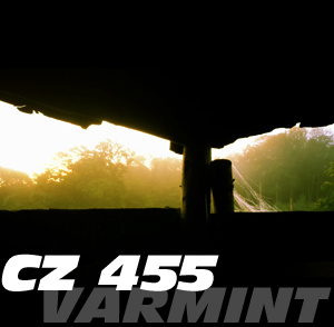 Review CZ 455 Varmint in .22 lfb