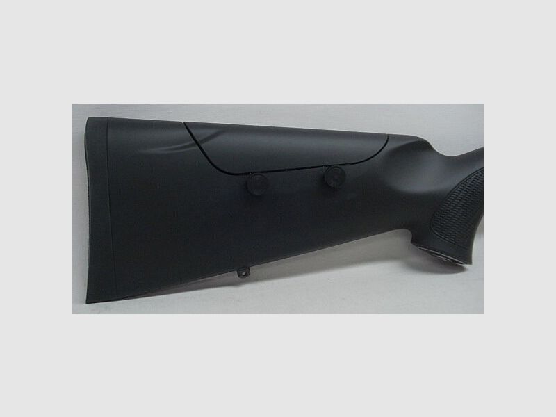 Sauer	 101 Silver XTA LL56 & MG oV