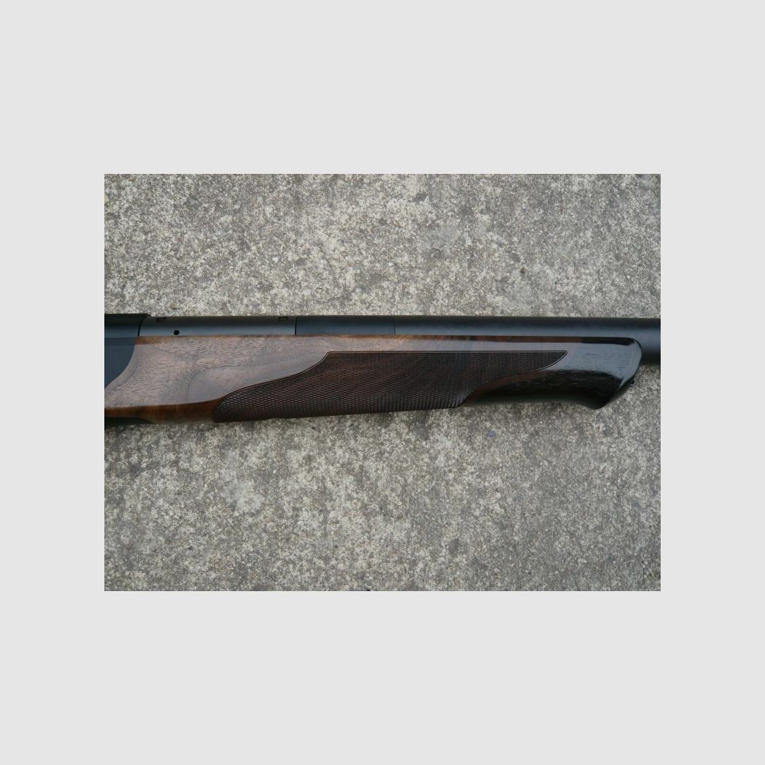 Blaser R8 Succes Stilte