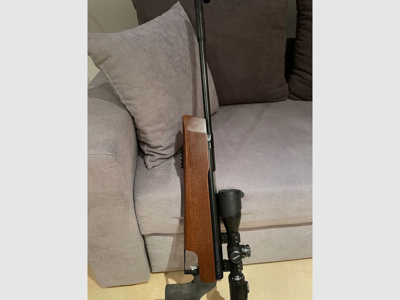 Fachwerkbau 300 S  4,5 mm Diabolo 