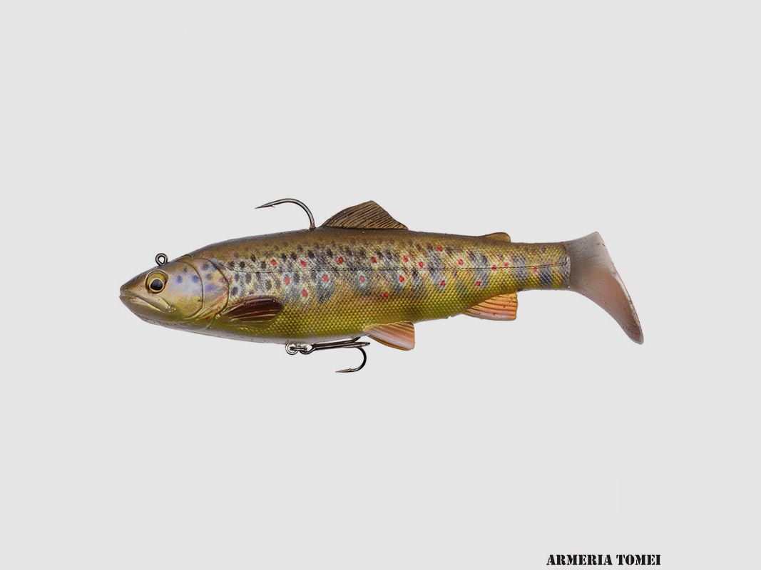 SAVAGE GEAR – 4D TROUT RATTLE SHAD 20.5cm – 8″ 120g – 4 1/4 oz MODERATE SINK MS 03 Dark Brown Trout