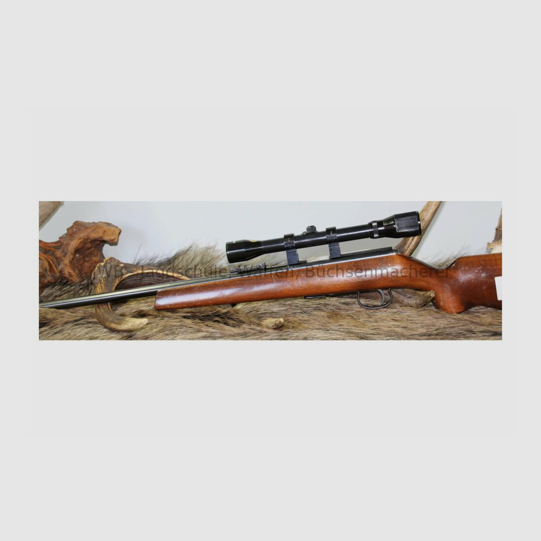 Anschütz 1415 .22lr