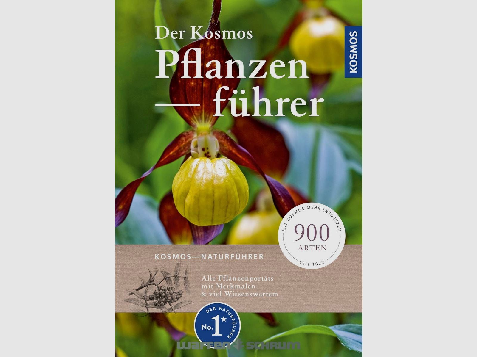 Cosmos Le guide des plantes Cosmos Guide de la nature