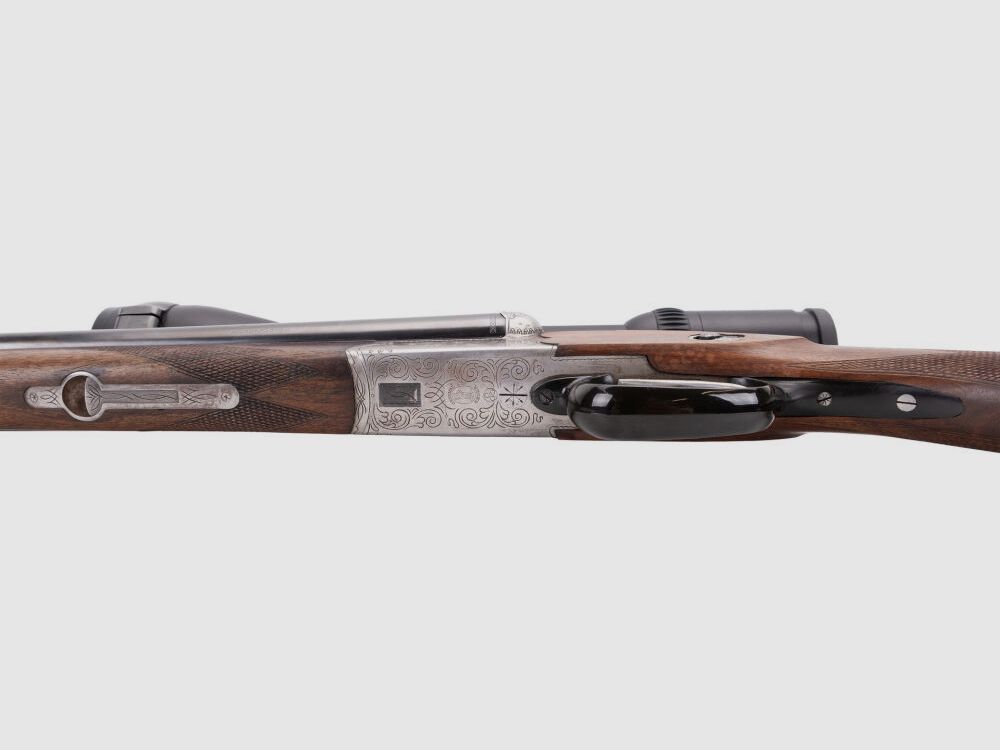 Sauer&Sohn 3000 + Swarovski Z4