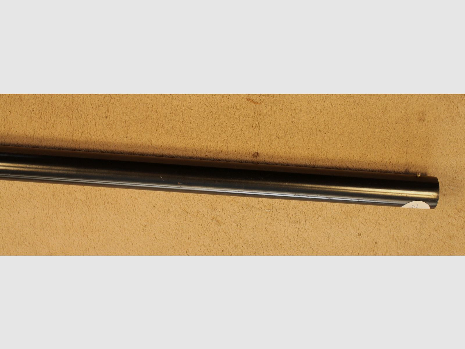 Fucile a ripetizione Winchester 1200 Pump Action