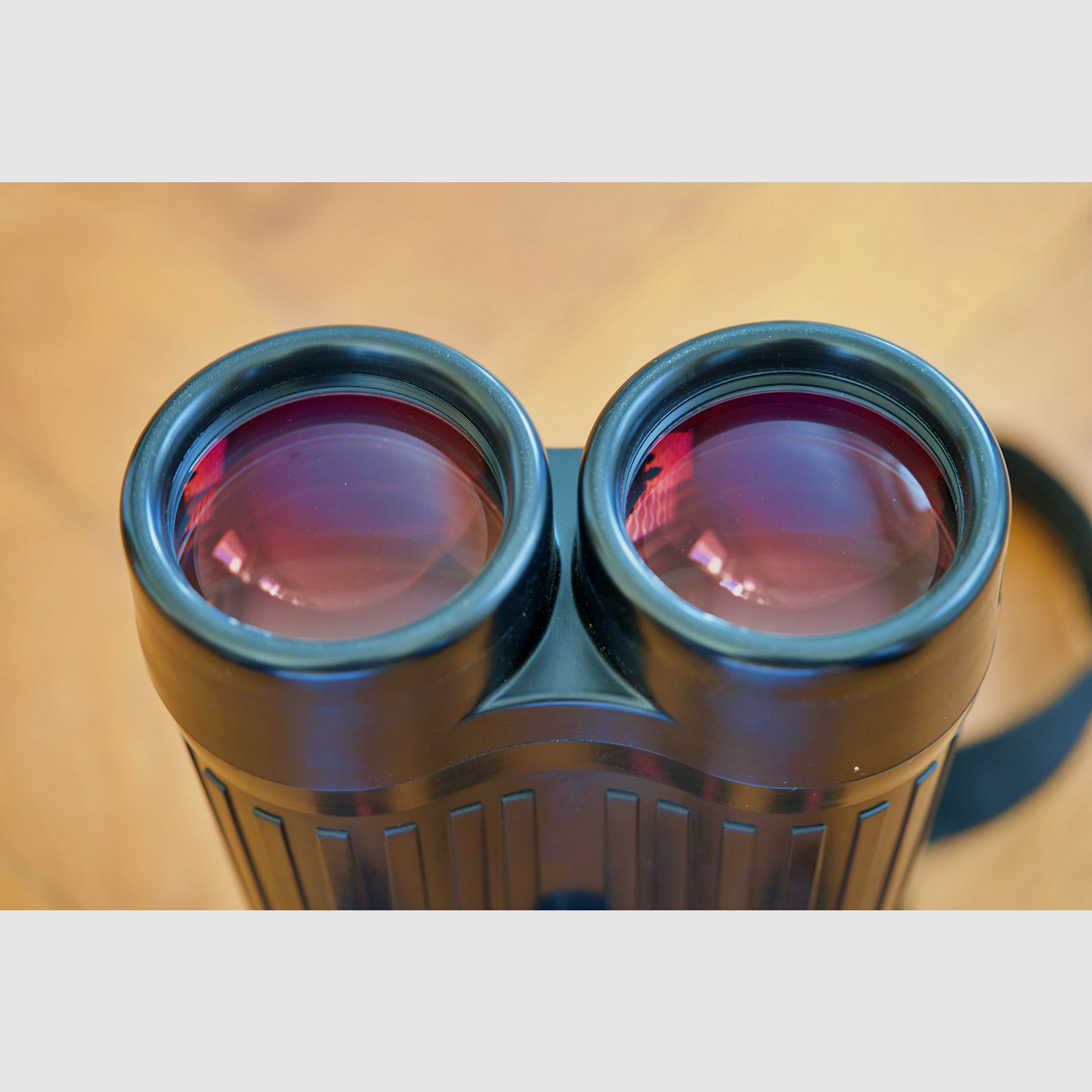 Zeiss 20 x 60 S
