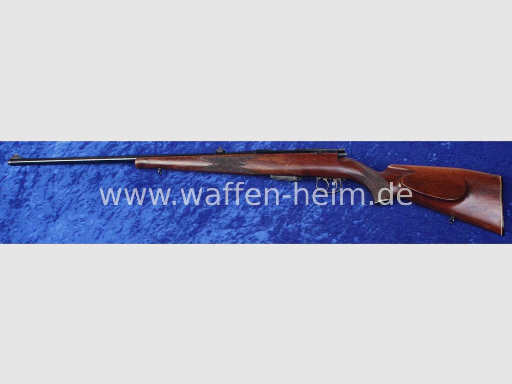 Anschütz