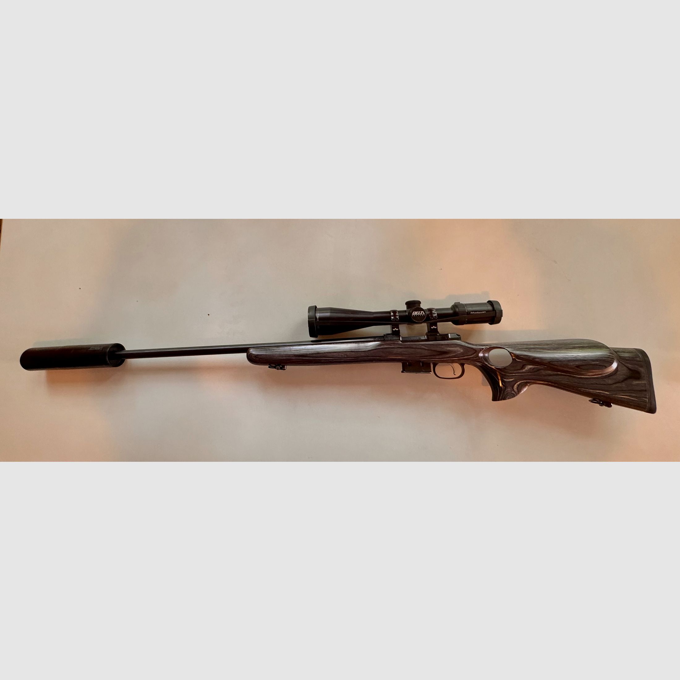 CZ 527 Thumbhole .17 HORNET mit Hausken SD & Delta Titanium HD – Raubwild-Profi