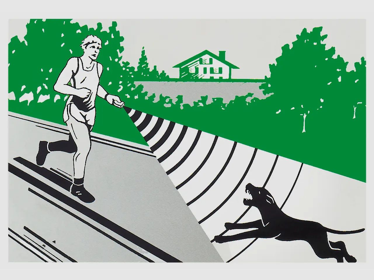 Dazer 2 Hundeabwehrgerät