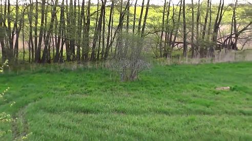 Jagdwelten: Bockjagd im Wildland Mecklenburg Impressionen