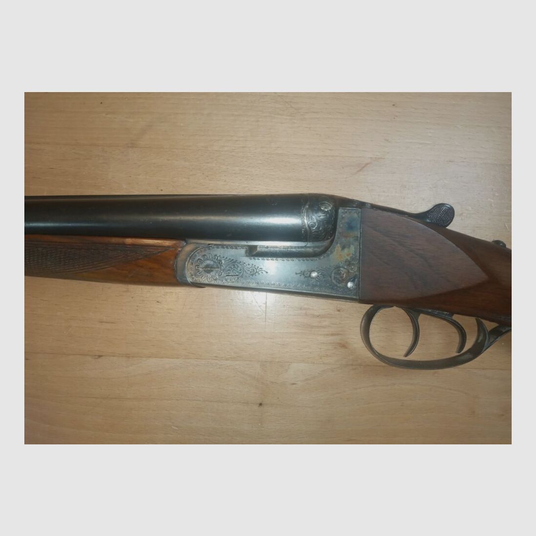 Geco Aigle
