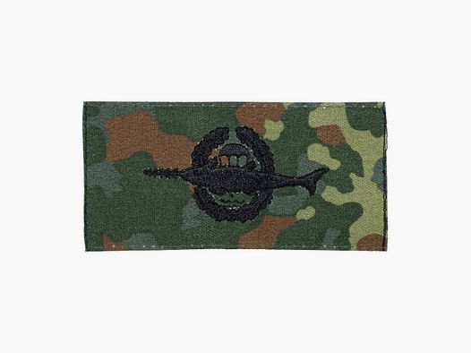 Fritzsch Abz. BW Tätigkeit Kampfschwimmer
