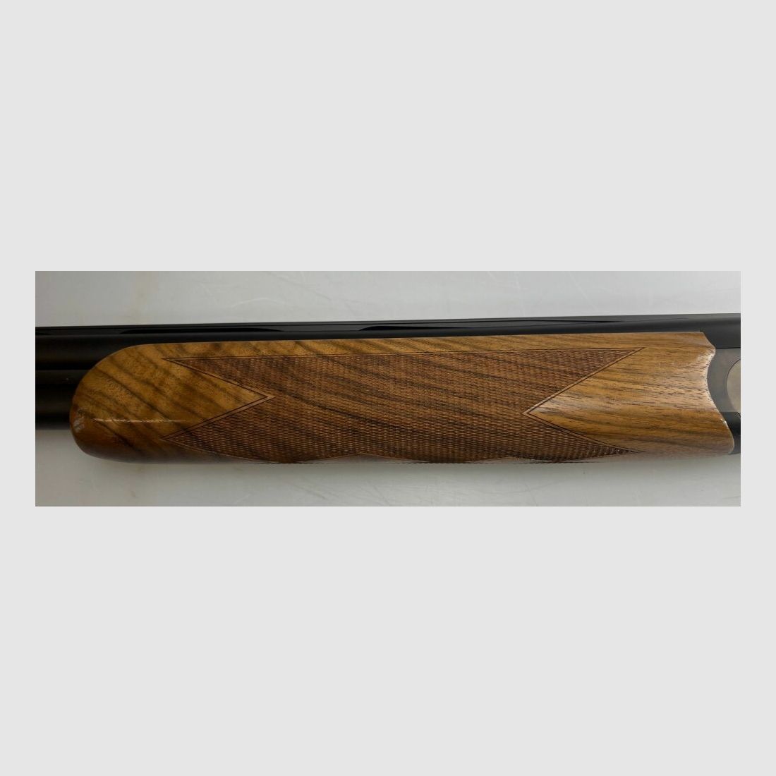 Blaser F16 Game