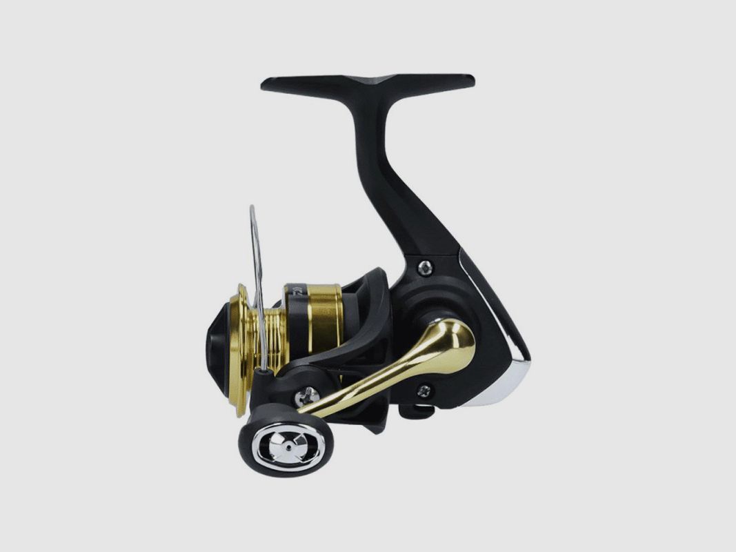 MOULINET DAIWA RS 4000