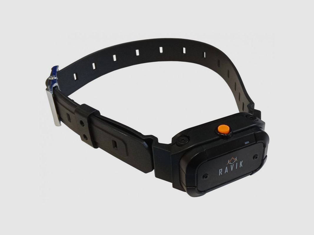 Pack Halsband für die Ausbildung Ravik RV900 für 2 Hunde, Bild 2 von 3