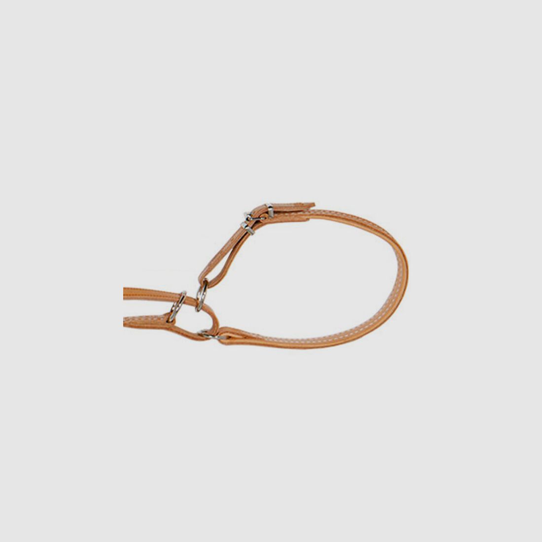 AKAH Umhängeleine mit Halsung 14 mm breit