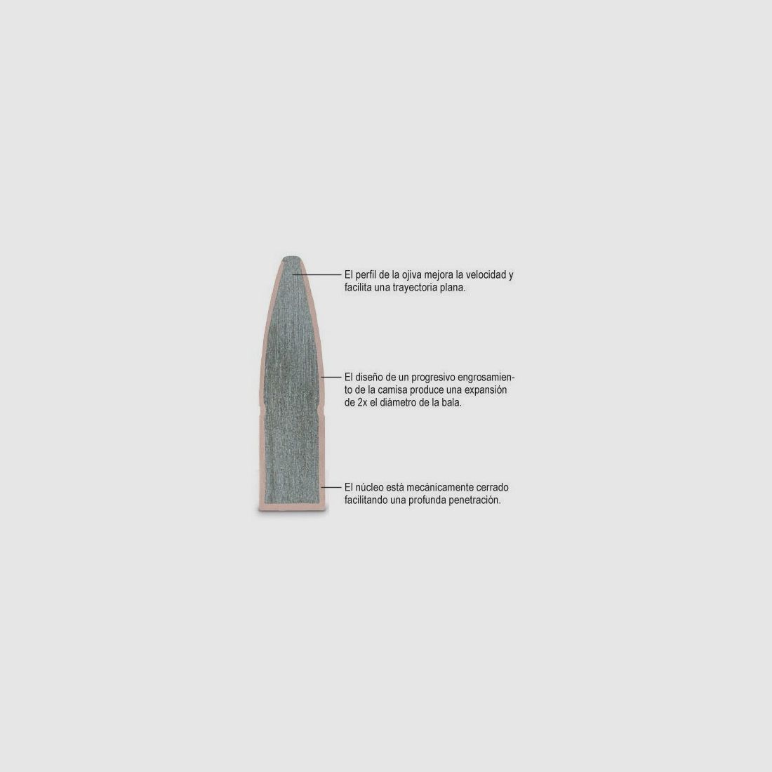 REMINGTON 25-06 Rem. PSP 120grs, Bild 2 von 2