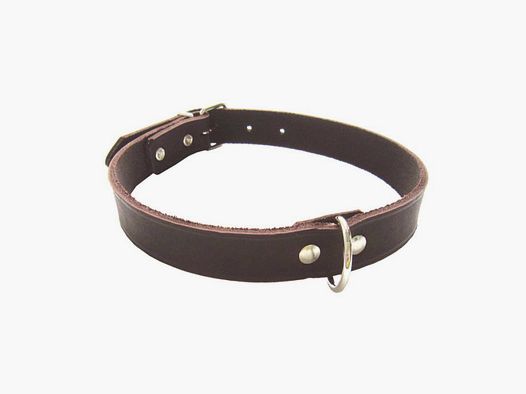 Home Leather Collar Soft Riveted Brown 22mm/55cm