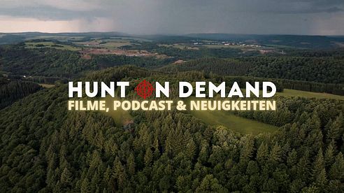 Filme, Podcast & Neuigkeiten!