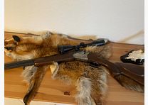 Kniejówka z wysokiej jakości lunetą celowniczą Kahles