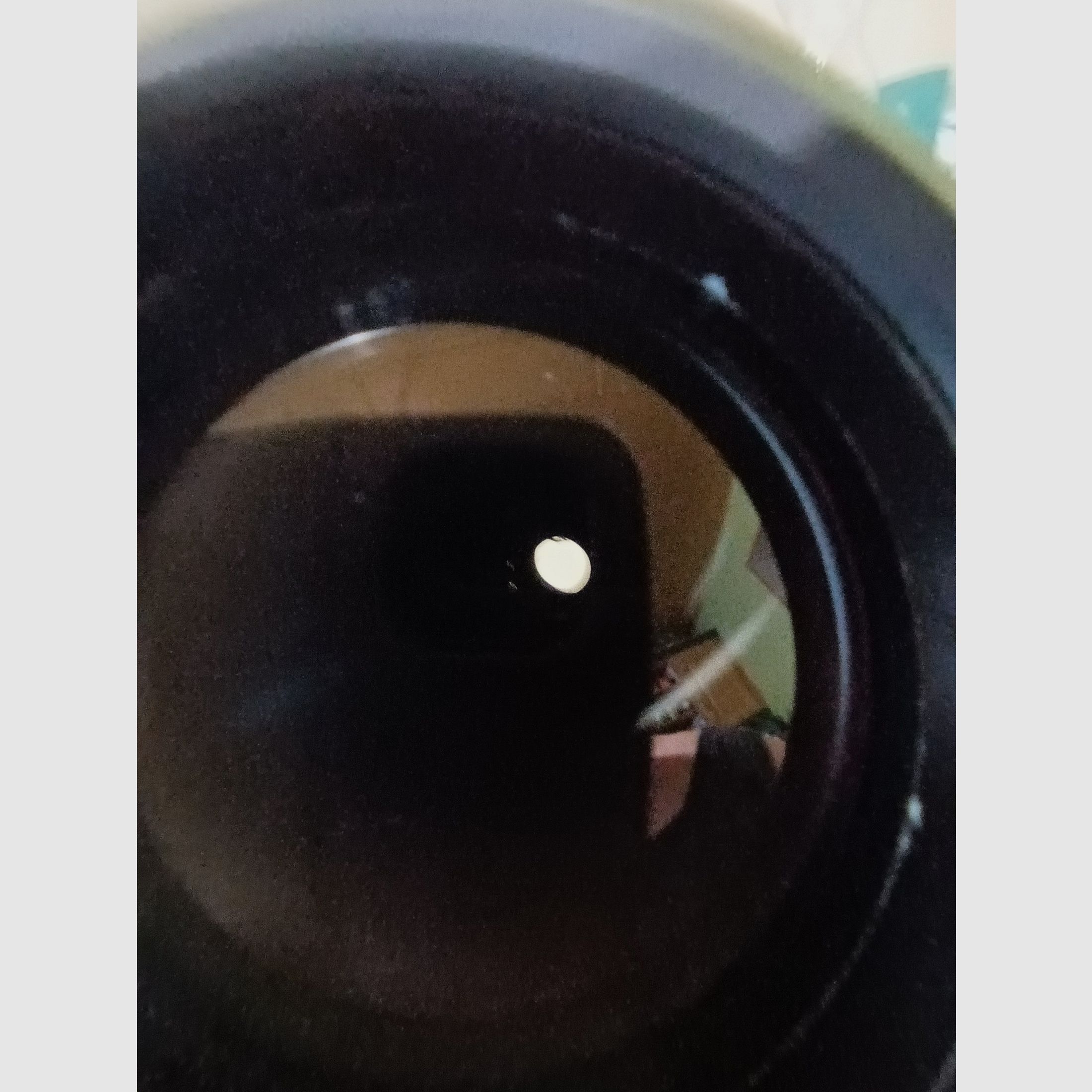 Fernglas Carl-Zeiss 8x56 B-T*