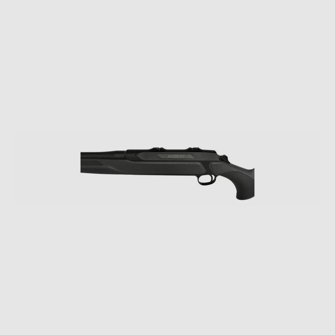 Sauer&Sohn 303 Classic XT