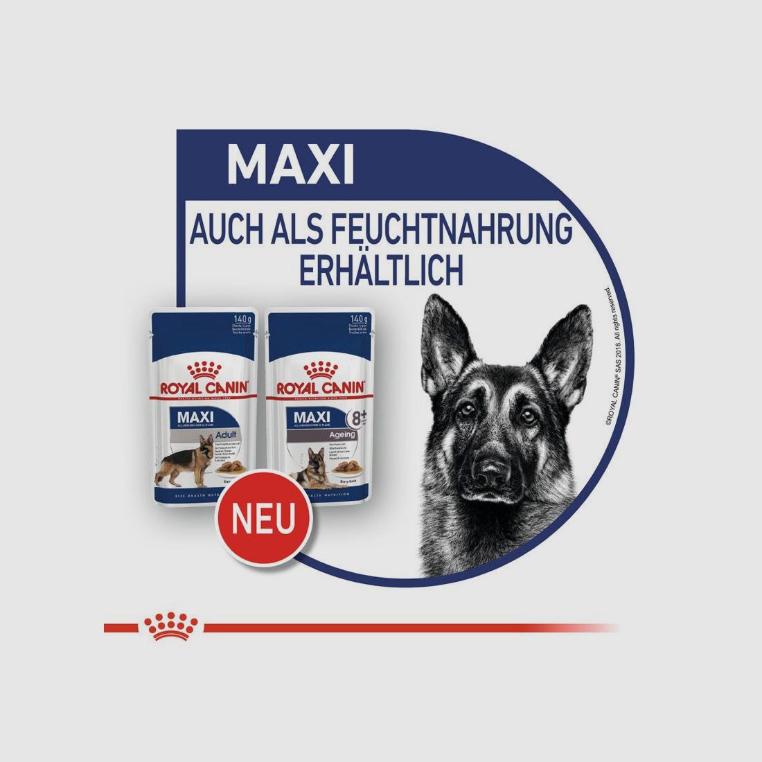 ROYAL CANIN Große Hunde Nassfutter Maxi Adult 10x140 g