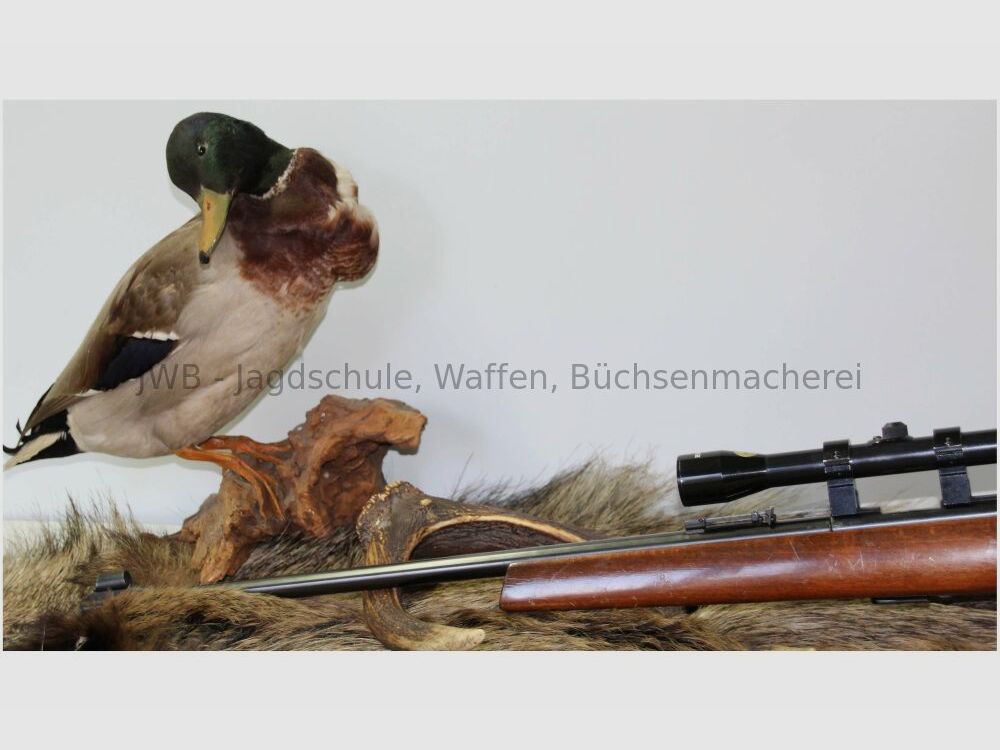 Anschütz 1415 .22lr