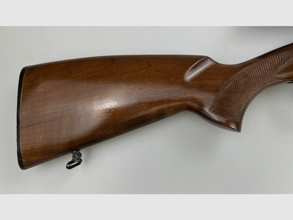 CZ 527