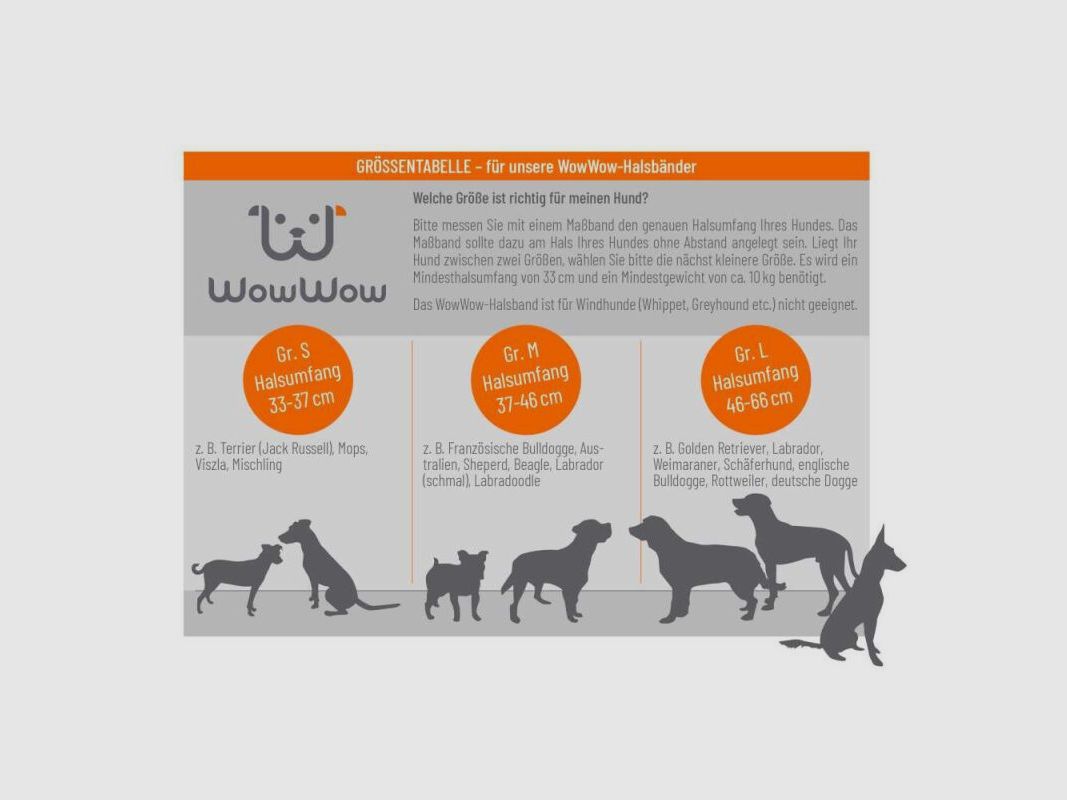 WowWow Hundehalsband mit integrierter Leine Leder Kastanienbraun