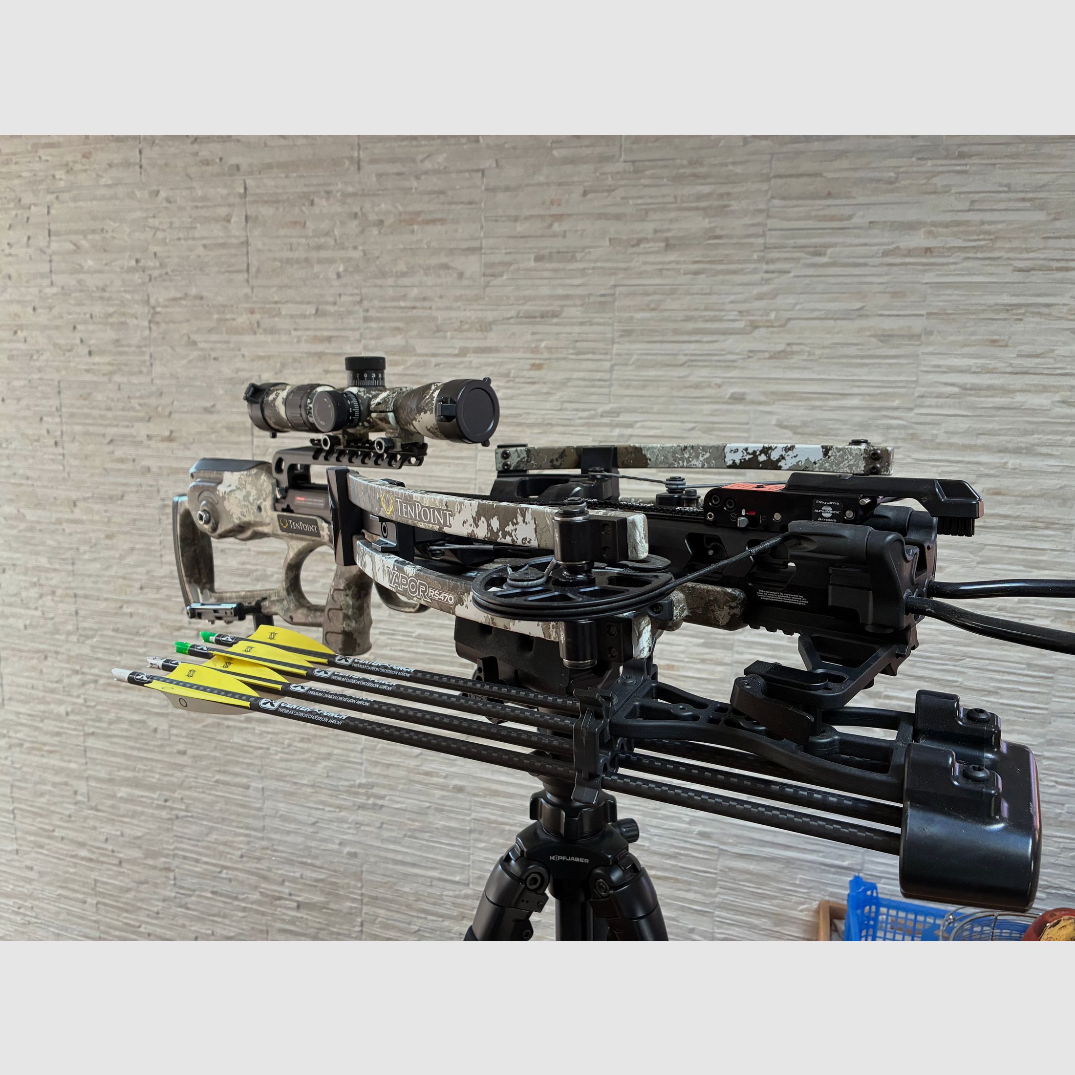 TEN POINT Armbrust Vaper RS 470 EVO - X VCeil Alpine