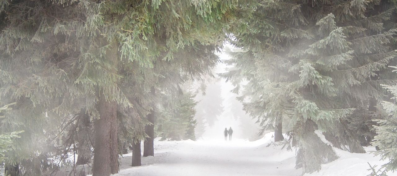 The Best Hunting Boots for Winter and the Driven Hunt Season