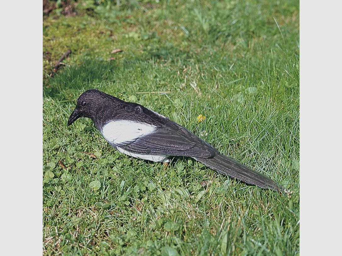 Plastic lockelster – flocked