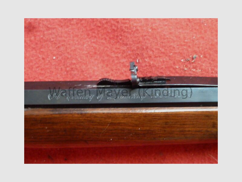 Winchester Siècle de Leadership