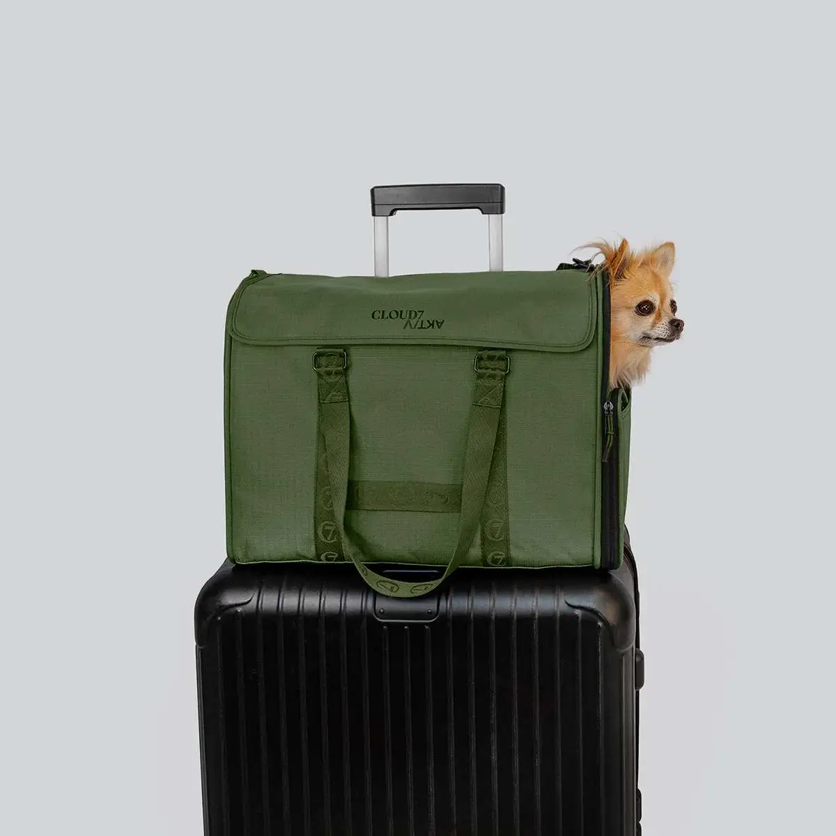 Hundeflugtasche AKTIV Olive, Bild 2 von 9