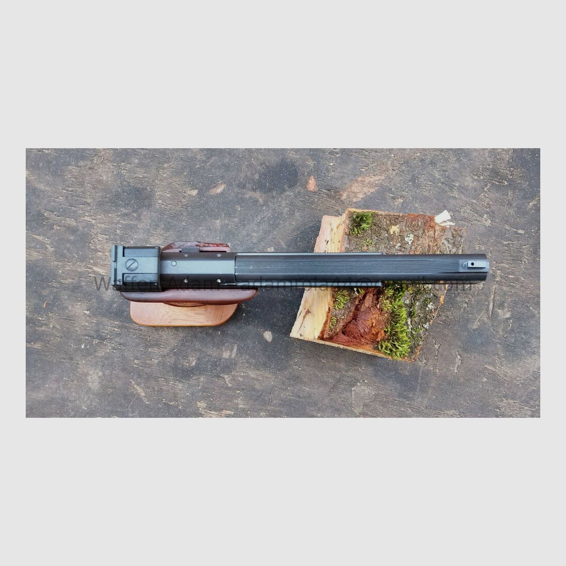 Hammerli Internacional