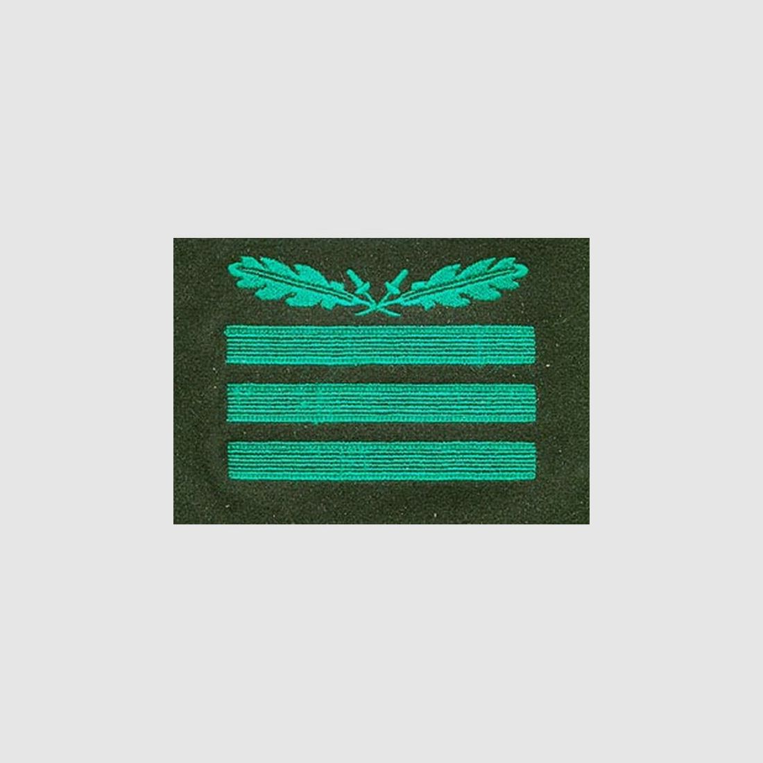 Dienstgradabz. f. Sonderbekl. Hauptsturmf./Hauptmann
