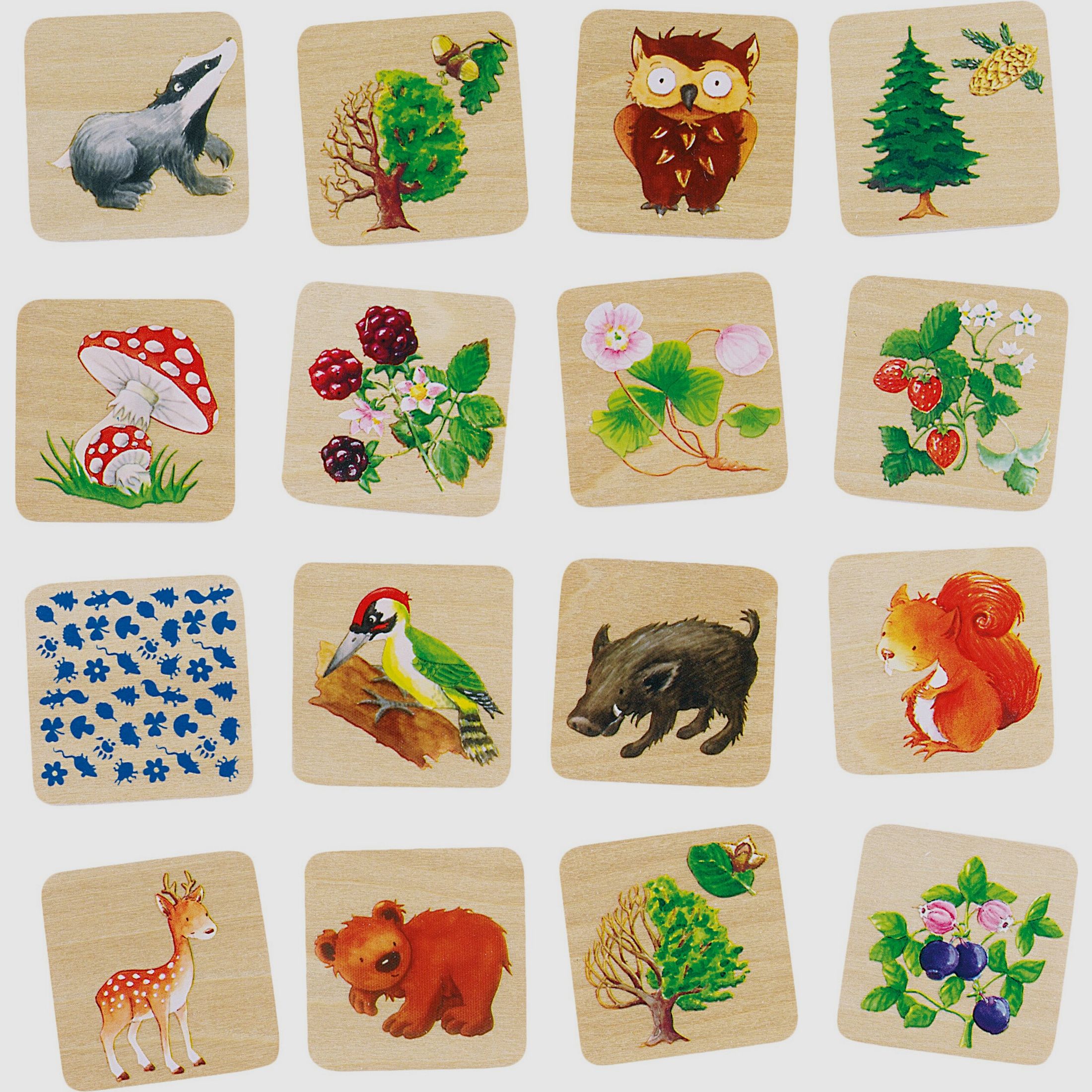 Memory Game Forest Life
