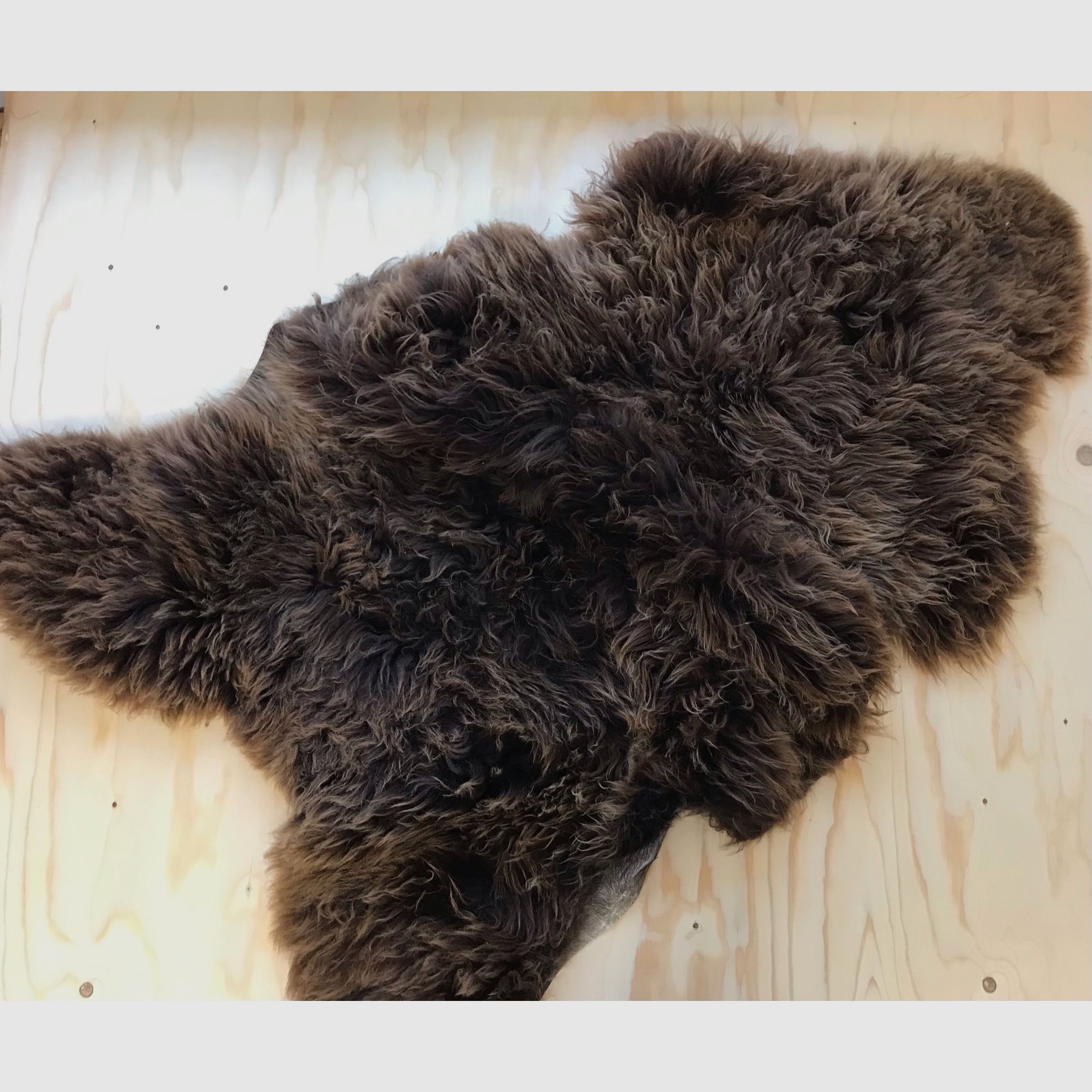 Sheepskin, image 2 of 3