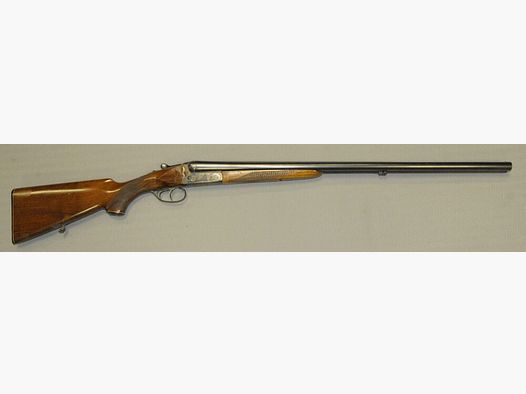 Sauer Aya