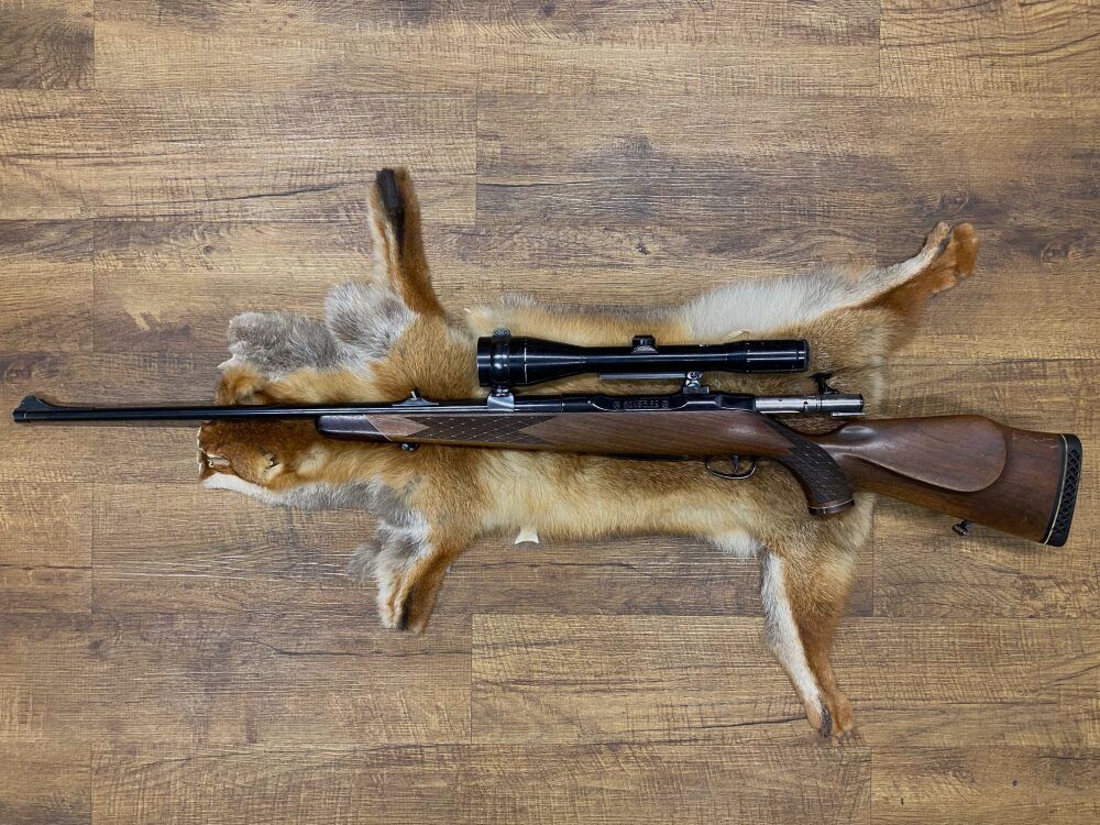 Sauer 80