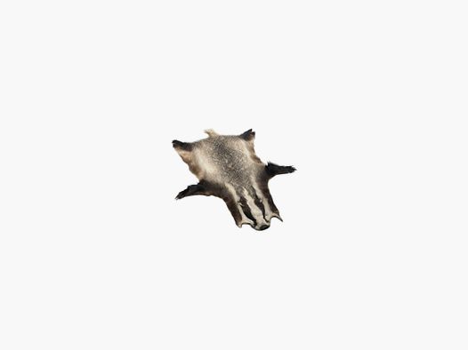 Badger fur 11001