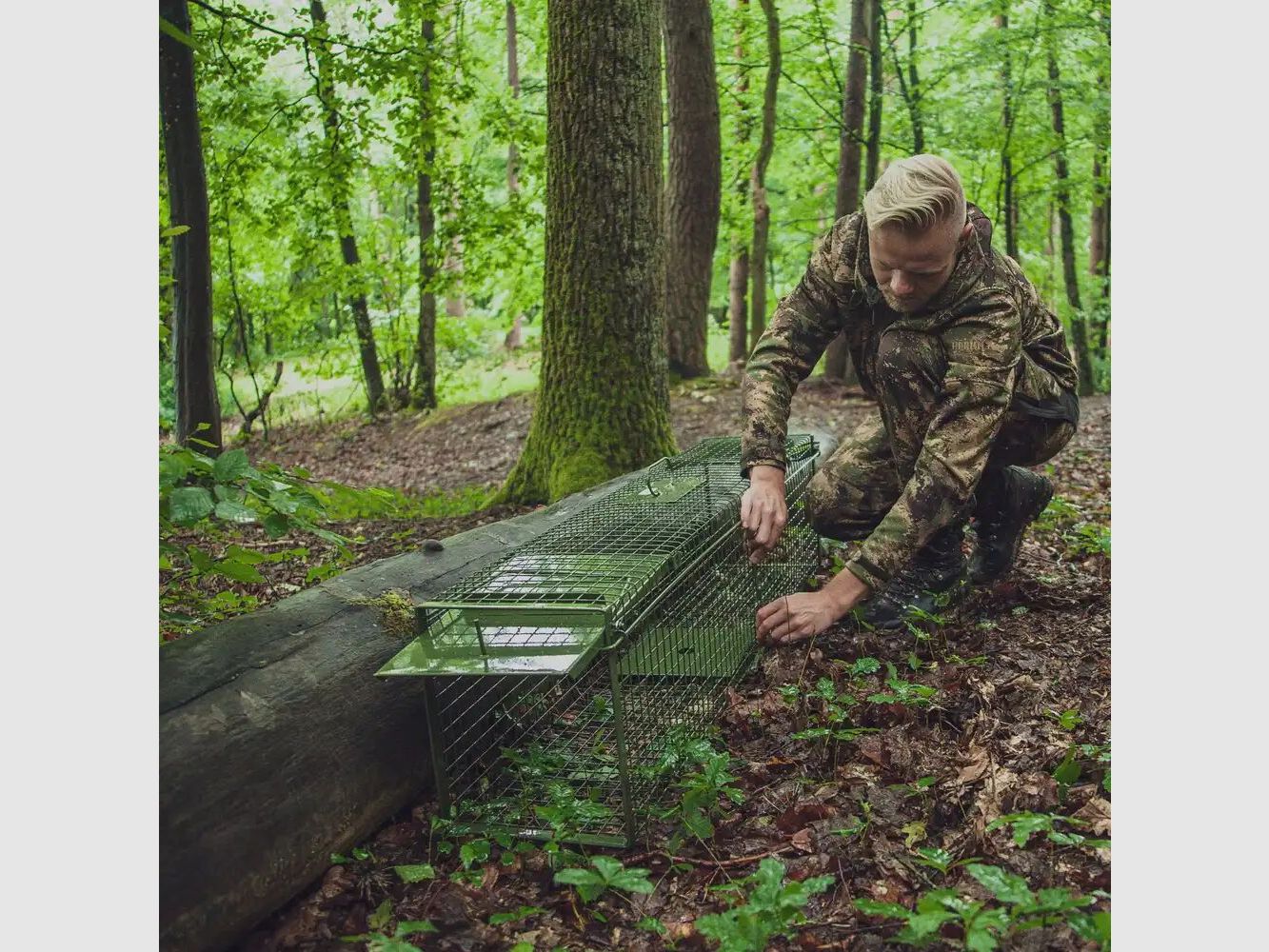 Falle Falle Lebendfang – zwei Klapptüren
