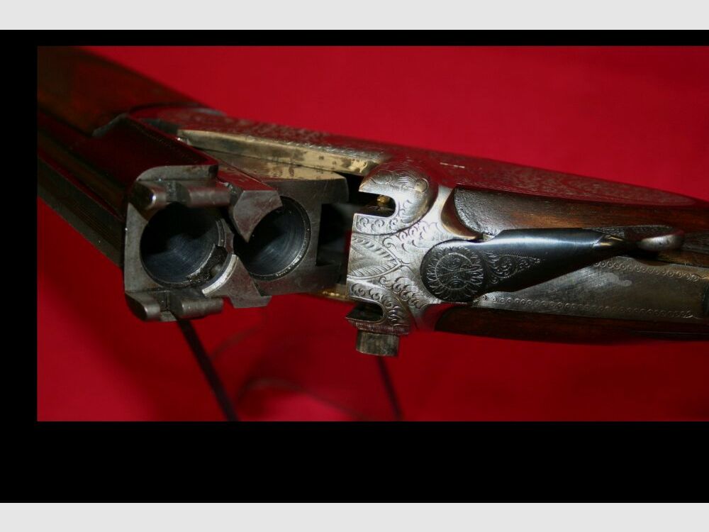 Turin mit Seitenschloss