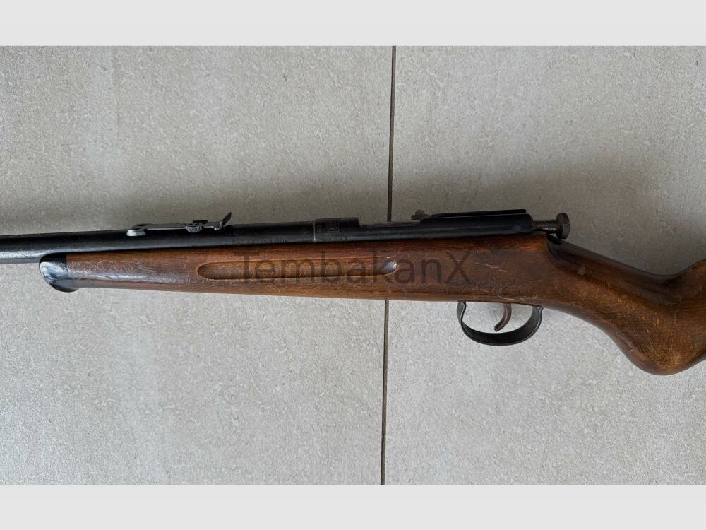 Anschütz .22lr