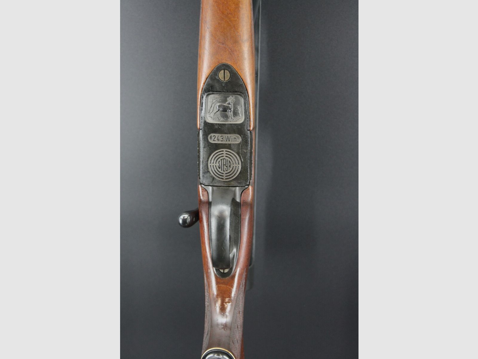 Steyr Mod L caliber .243Win swivel mount scope Hertel & Reuss Mod L