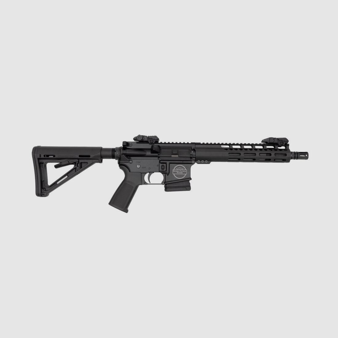 Systèmes tactiques bavarois BTS-15 (10,5", .223 Remington)